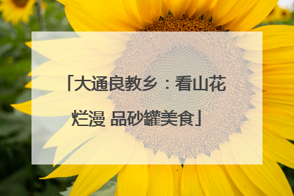 大通良教乡：看山花烂漫 品砂罐美食