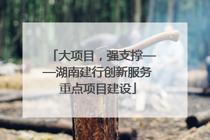 大项目，强支撑——湖南建行创新服务重点项目建设