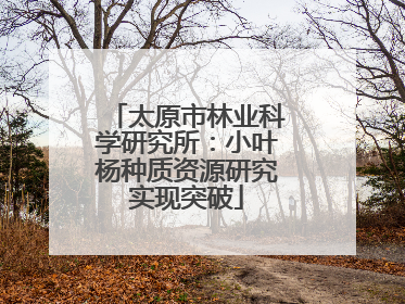 太原市林业科学研究所：小叶杨种质资源研究实现突破