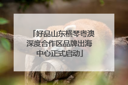 好品山东横琴粤澳深度合作区品牌出海中心正式启动