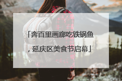 奔百里画廊吃铁锅鱼，延庆区美食节启幕
