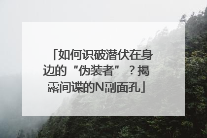 如何识破潜伏在身边的“伪装者”？揭露间谍的N副面孔