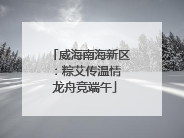 威海南海新区：粽艾传温情 龙舟竞端午