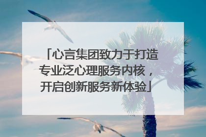 心言集团致力于打造专业泛心理服务内核，开启创新服务新体验