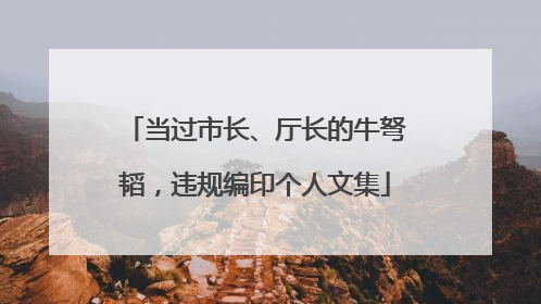 当过市长、厅长的牛弩韬，违规编印个人文集