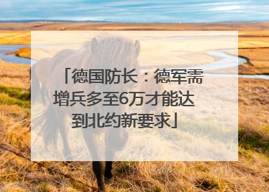 德国防长：德军需增兵多至6万才能达到北约新要求