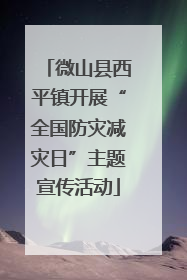 微山县西平镇开展“全国防灾减灾日”主题宣传活动