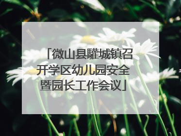 微山县驩城镇召开学区幼儿园安全暨园长工作会议