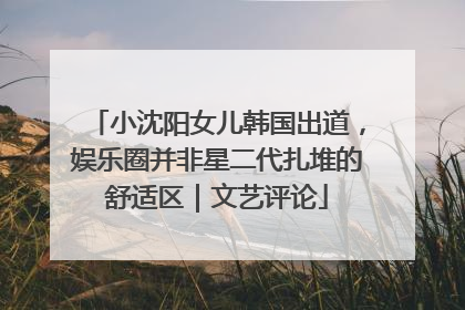 小沈阳女儿韩国出道，娱乐圈并非星二代扎堆的舒适区｜文艺评论