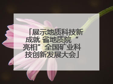展示地质科技新成就 省地质院“亮相”全国矿业科技创新发展大会