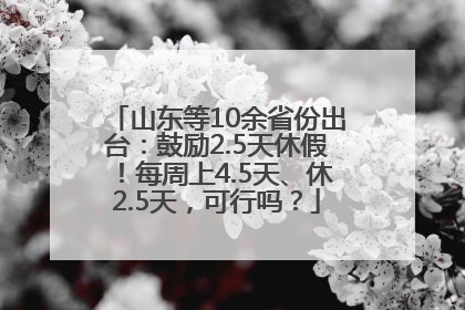 山东等10余省份出台：鼓励2.5天休假！每周上4.5天、休2.5天，可行吗？