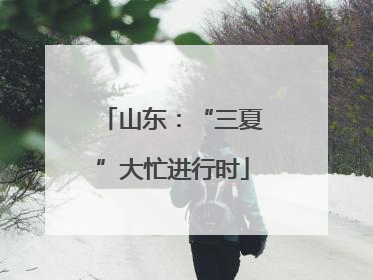 山东：“三夏”大忙进行时