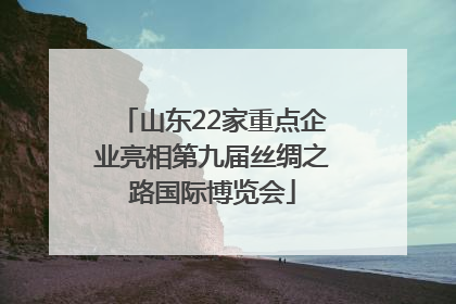 山东22家重点企业亮相第九届丝绸之路国际博览会