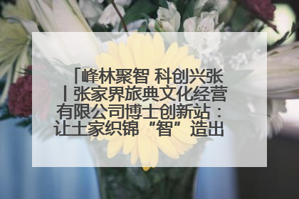 峰林聚智 科创兴张丨张家界旅典文化经营有限公司博士创新站：让土家织锦“智”造出非遗新传奇