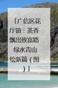 广信区花厅镇：茶香飘出致富路 绿水青山绘新篇（图）