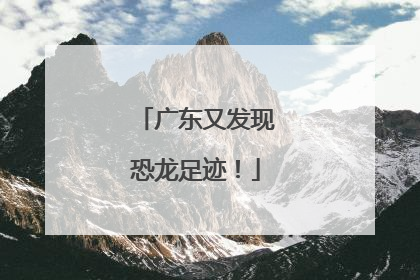广东又发现恐龙足迹！