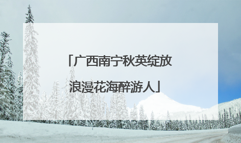 广西南宁秋英绽放 浪漫花海醉游人