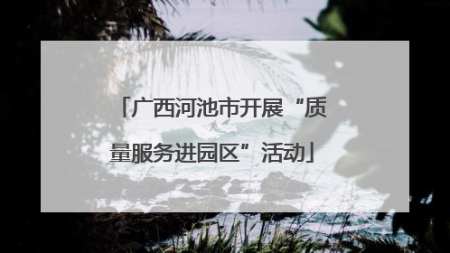 广西河池市开展“质量服务进园区”活动