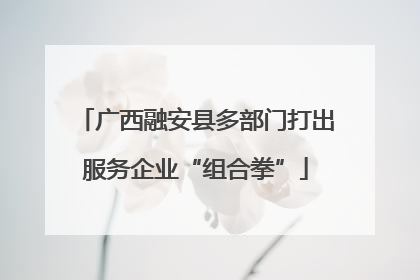 广西融安县多部门打出服务企业“组合拳”