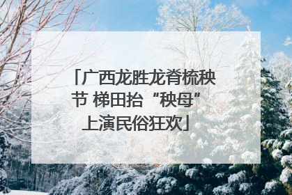 广西龙胜龙脊梳秧节 梯田抬“秧母”上演民俗狂欢