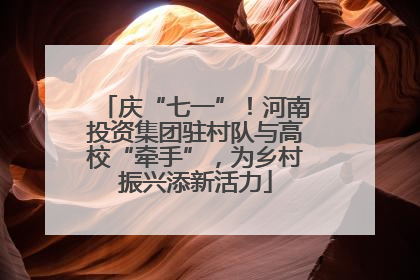 庆“七一”！河南投资集团驻村队与高校“牵手”，为乡村振兴添新活力