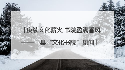 庚续文化薪火 书院盈满香风——单县“文化书院”见闻
