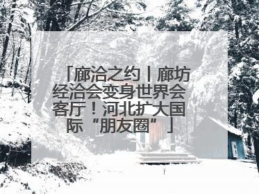 廊洽之约丨廊坊经洽会变身世界会客厅！河北扩大国际“朋友圈”