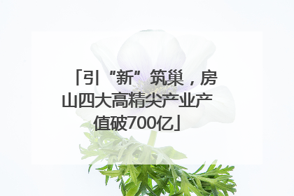 引“新”筑巢，房山四大高精尖产业产值破700亿