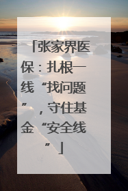 张家界医保：扎根一线“找问题”，守住基金“安全线”