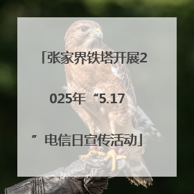 张家界铁塔开展2025年“5.17”电信日宣传活动