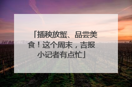 插秧放蟹、品尝美食！这个周末，吉报小记者有点忙