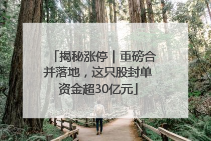 揭秘涨停｜重磅合并落地，这只股封单资金超30亿元