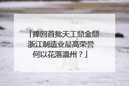 捧回首批天工鼎金鼎 浙江制造业最高荣誉何以花落温州？