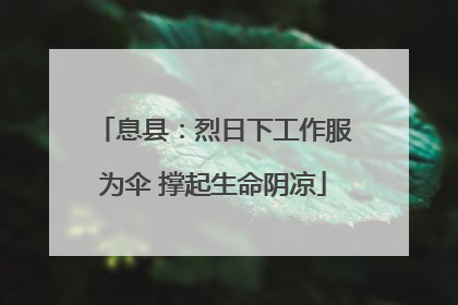 息县：烈日下工作服为伞 撑起生命阴凉