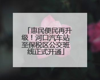 惠民便民再升级！河口汽车站至保税区公交班线正式开通