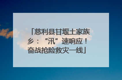 慈利县甘堰土家族乡：“汛”速响应！奋战抢险救灾一线