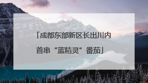 成都东部新区长出川内首串“蓝精灵”番茄
