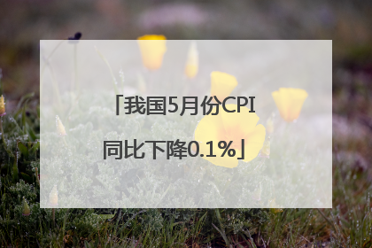 我国5月份CPI同比下降0.1%