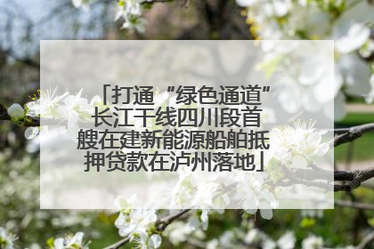 打通“绿色通道” 长江干线四川段首艘在建新能源船舶抵押贷款在泸州落地