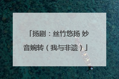 扬剧：丝竹悠扬 妙音婉转（我与非遗）