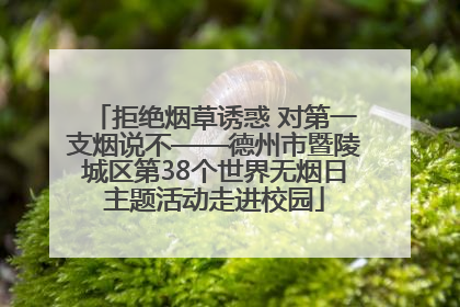 拒绝烟草诱惑 对第一支烟说不——德州市暨陵城区第38个世界无烟日主题活动走进校园