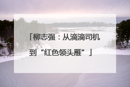 柳志强：从滴滴司机到“红色领头雁”