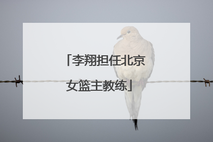 李翔担任北京女篮主教练