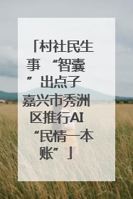 村社民生事 “智囊”出点子 嘉兴市秀洲区推行AI“民情一本账”
