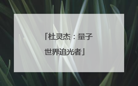 杜灵杰：量子世界追光者