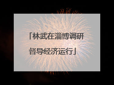 林武在淄博调研督导经济运行