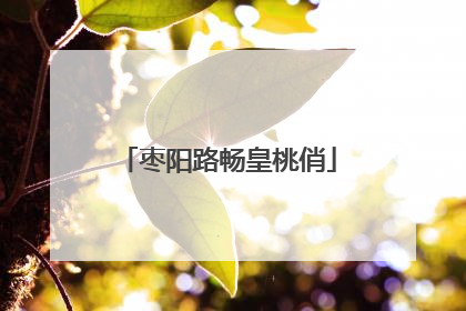 枣阳路畅皇桃俏