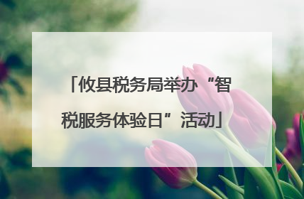 攸县税务局举办“智税服务体验日”活动