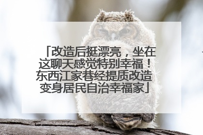 改造后挺漂亮，坐在这聊天感觉特别幸福！东西江家巷经提质改造变身居民自治幸福家