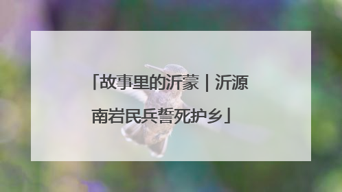 故事里的沂蒙｜沂源南岩民兵誓死护乡